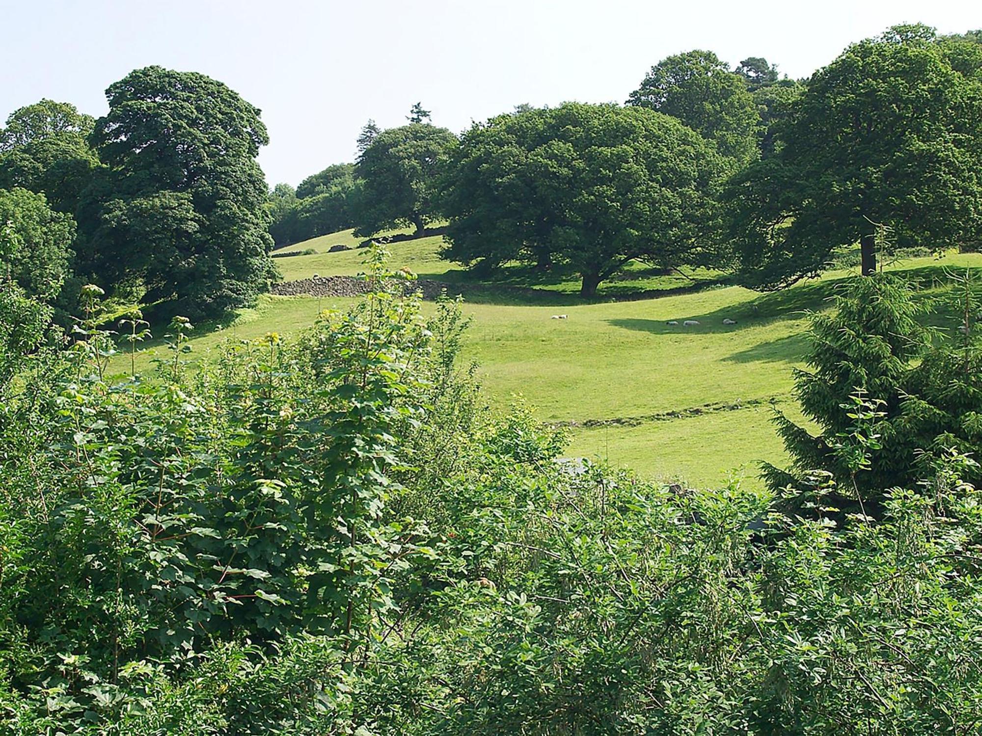 Howarth Cottage Troutbeck Bridge 外观 照片
